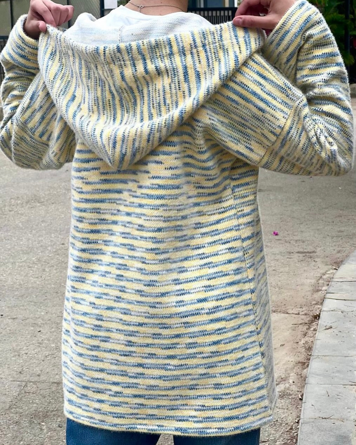 Striped Hoodie Jacket