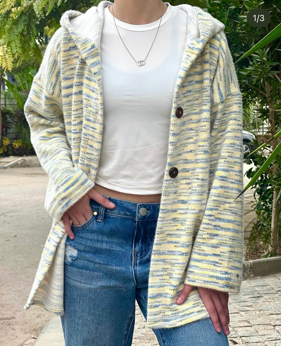 Striped Hoodie Jacket